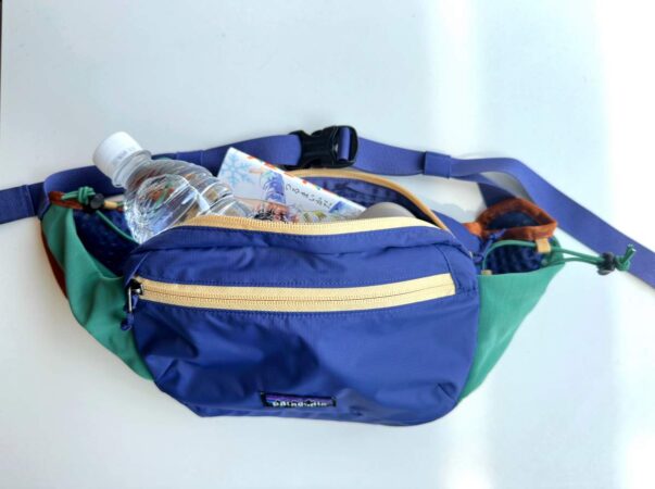 テラヴィア ヒップパック 4L 持ち物フラットレイ(ミニ財布/本/鍵/イヤホン/500mlぺットボトル)